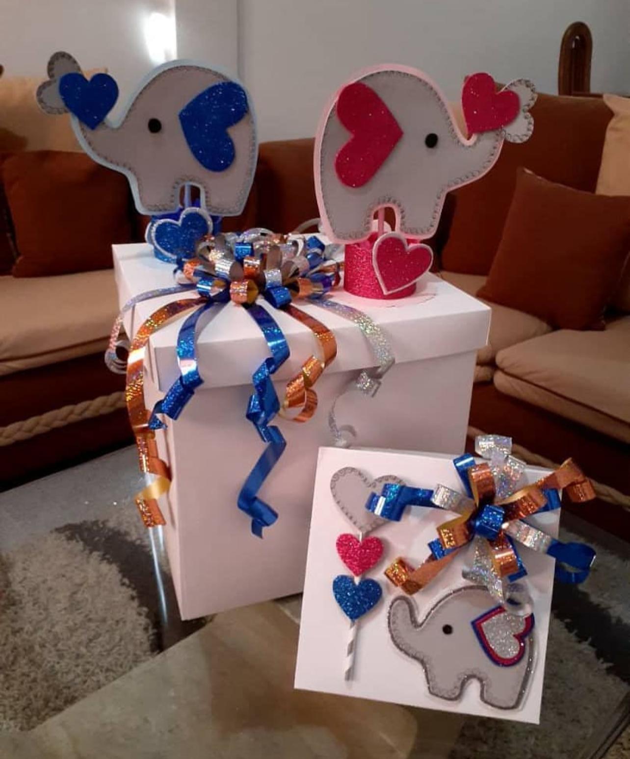 Gender Revelation boxes