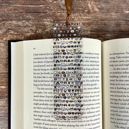 Gatita pink  /Tumbler